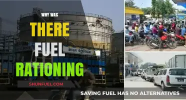 Fuel Rationing: Understanding the Causes and Consequences