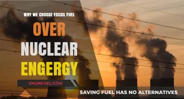 Fossil Fuels vs. Nuclear Energy: Why We Still Rely on the Former