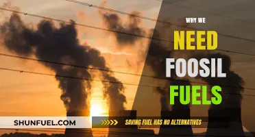 Why We Still Need Fossil Fuels: A Pragmatic Perspective
