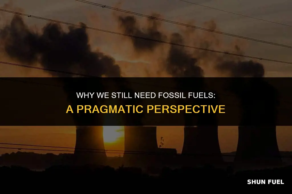 why we need foosil fuels