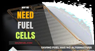 Powering a Sustainable Future: The Critical Role of Fuel Cells