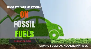 Breaking Free: Why Ending Fossil Fuel Dependence is Urgent and Essential