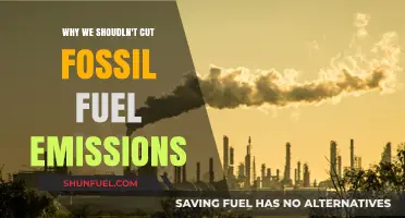 Debunking the Myth: Why Cutting Fossil Fuels Isn't the Solution