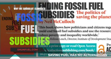 Rethinking Fossil Fuel Subsidies: Balancing Energy Security and Economic Stability