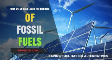 Reducing Fossil Fuel Emissions: A Crucial Step for a Sustainable Future