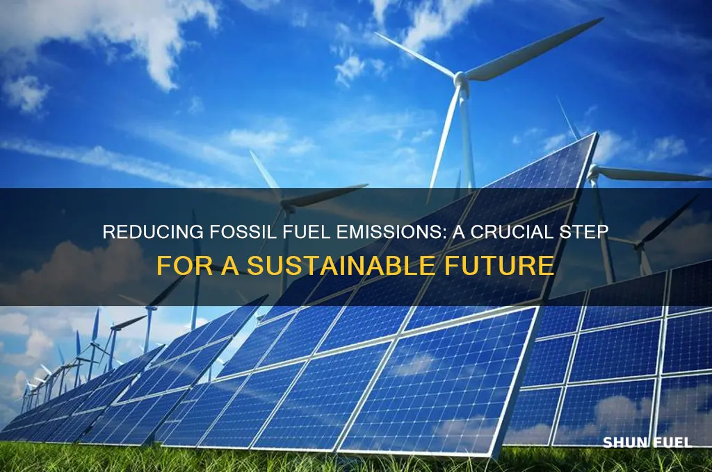 why we should limet the burning of fossil fuels