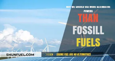 Shift to Alternative Energy: Why Fossil Fuels Are Not Sustainable
