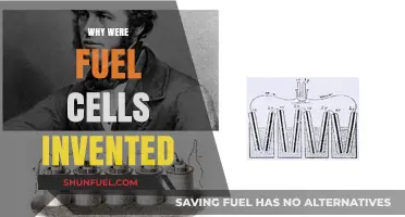 The Genesis of Fuel Cells: A Sustainable Energy Revolution