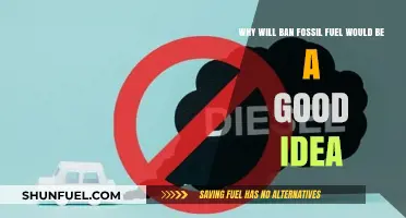 Banning Fossil Fuels: A Sustainable Path to a Greener Future