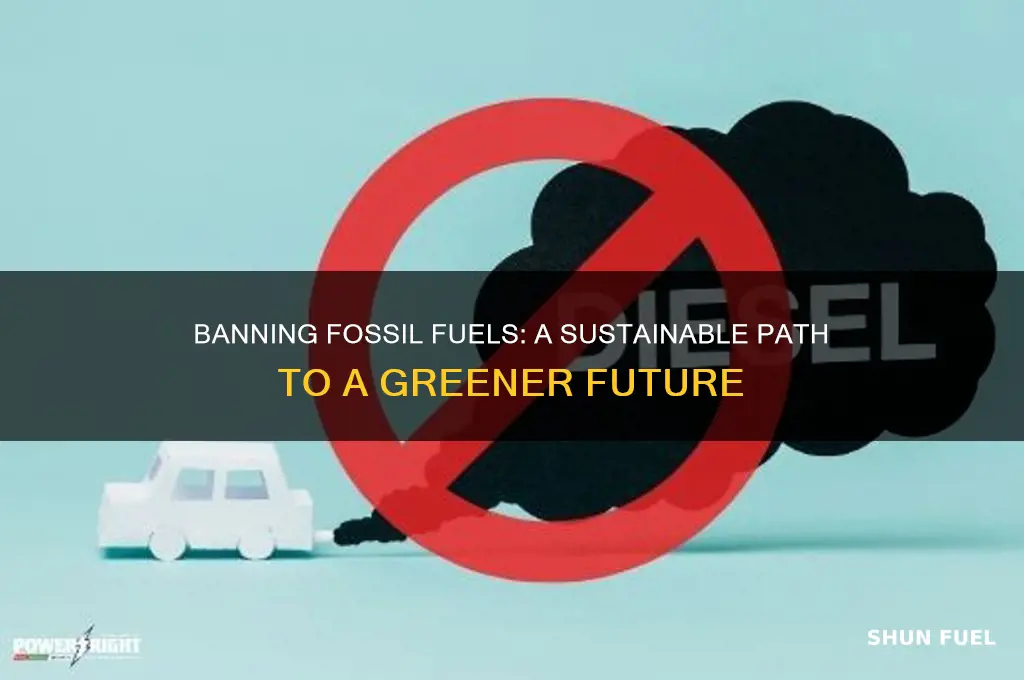 why will ban fossil fuel would be a good idea