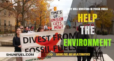 Divesting in Fossil Fuels: A Powerful Step Toward Environmental Healing