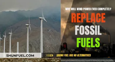 Wind Power: A Fossil Fuel Alternative?