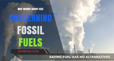 CO2 Crisis: The Alarming Impact of Fossil Fuels on Our Planet