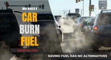 The Mystery of Burning Fuel: Why Cars Need It