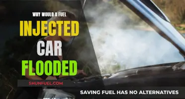 Fuel-Injected Flood: When Cars Go Under Water