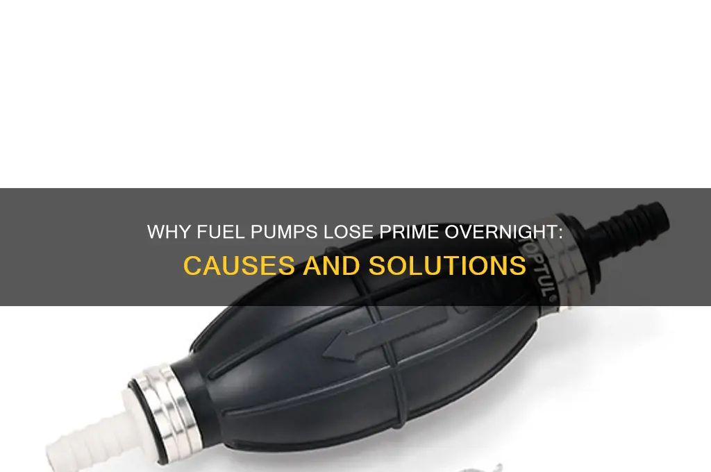 why would a fuel pump lose prime overnight