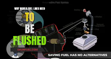 Flushing Fuel Lines: Maintenance or Malaise?