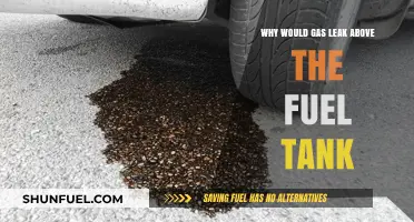 Fuel Tank Gas Leaks: What's the Cause?