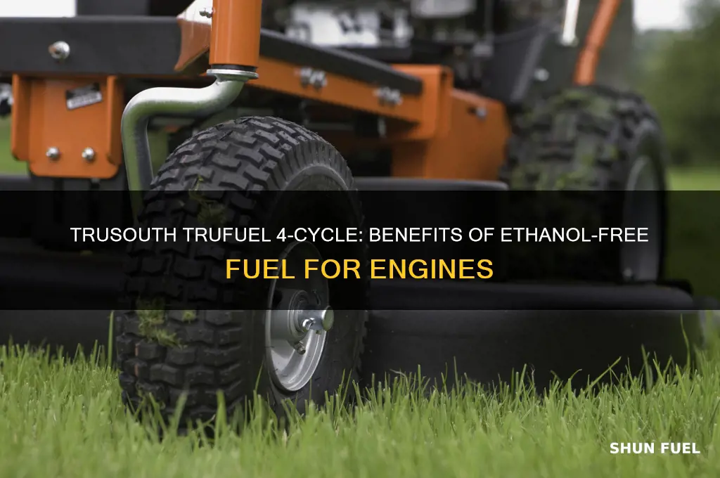 why would i use trusouth trufuel 4-cycle ethanol-free fuel