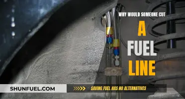 Malicious Intent: Fuel Line Cut, Why?