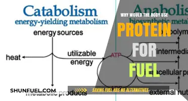 Why Your Body Burns Protein for Energy: Uncovering the Metabolic Mystery