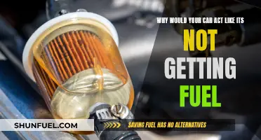 Car Won't Start? 5 Common Fuel Issues Explained