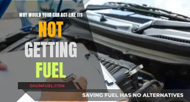 Car Not Starting? It Might Be Fuel Issues