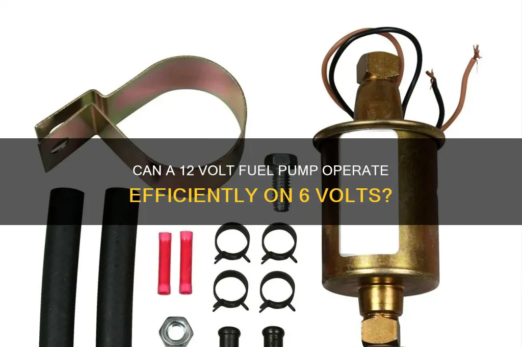 will a 12 volt fuel pump work on 6 volts