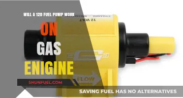 Can a 12D Fuel Pump Efficiently Power a Gas Engine?