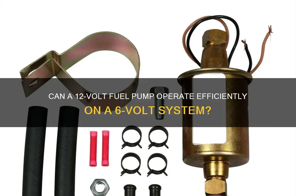 will a 12volt fuel pump work on 6volt system