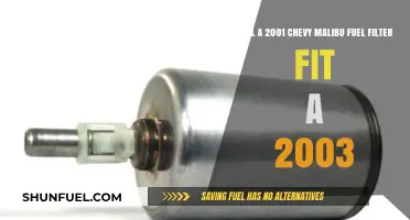Fuel Filter Compatibility: Chevy Malibu 2001 vs 2003