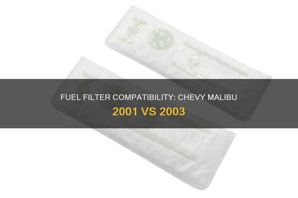 will a 2001 chevy malibu fuel filter fit a 2003