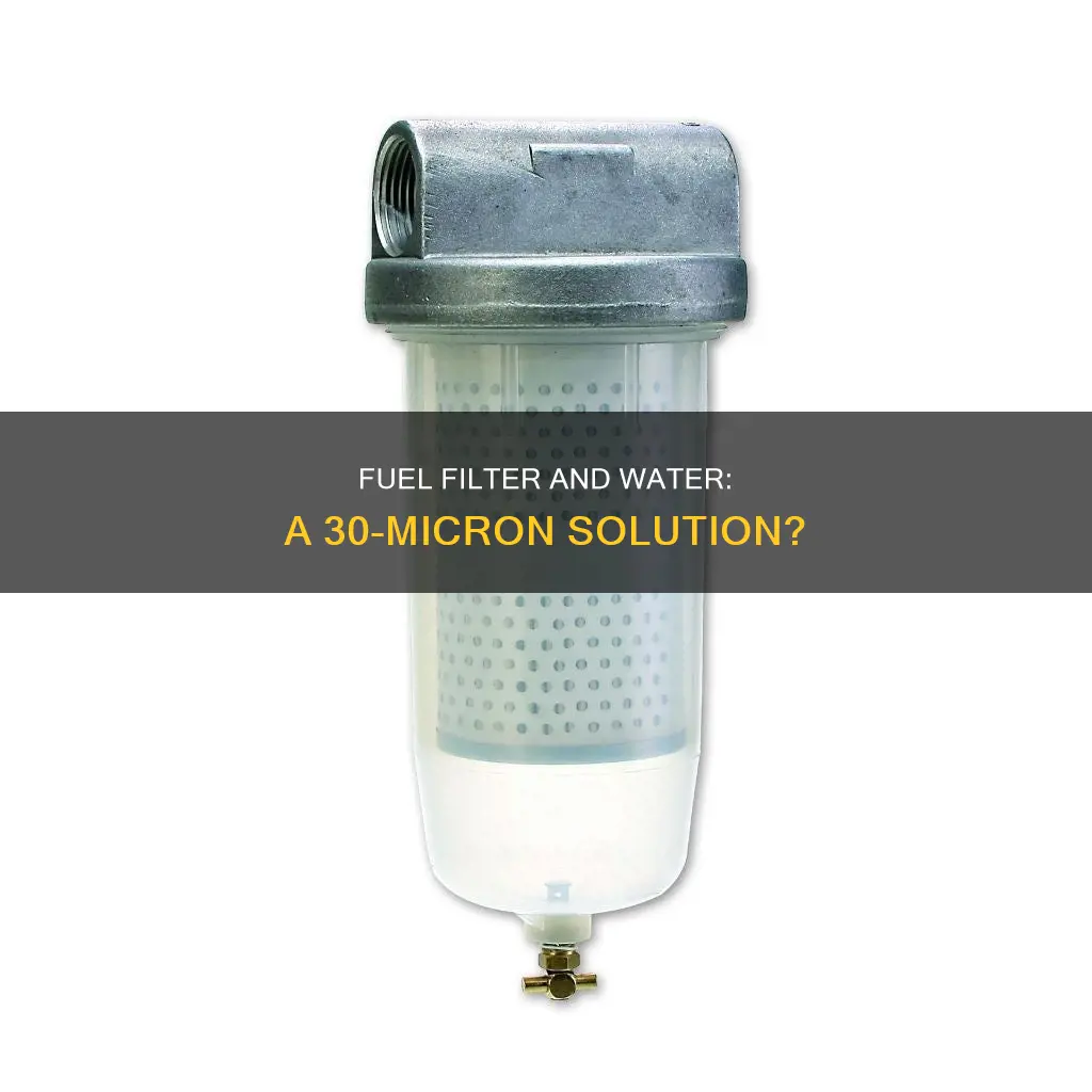 will a 30 micron fuel filter stop water