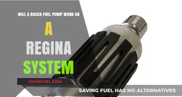 Can Bosch Fuel Pumps Be Compatible with Regina Systems?
