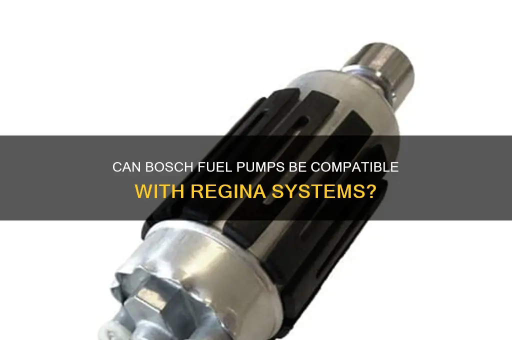 will a bosch fuel pump work on a regina system