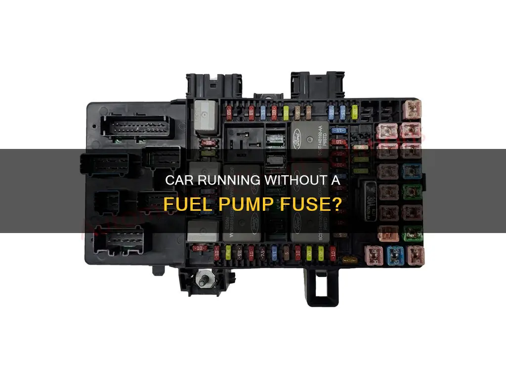 will a car cant without the fuel oump fuse