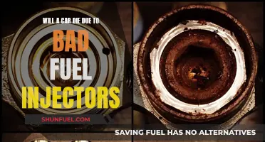 Fuel Injector Issues: Can They Kill Your Car?