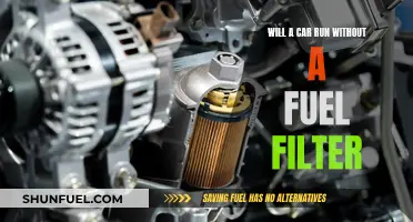 Can a Car Run Without a Fuel Filter?