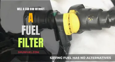 Fuel Filter: Essential or Unnecessary for a Car's Performance?