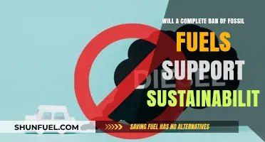 Fossil Fuel Ban: A Sustainable Solution or Unrealistic Goal?