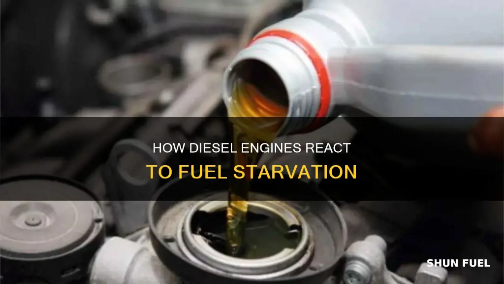 will a diesel burn its oil when starving for fuel