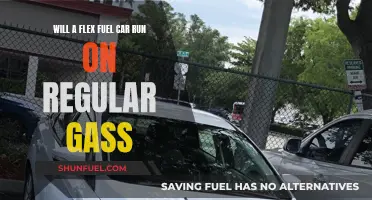 Flex Fuel Flexibility: Can Your Car Run on Regular Gas?