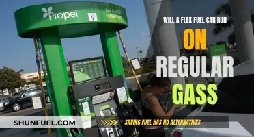 Flex Fuel Cars: Regular Gas Compatible?