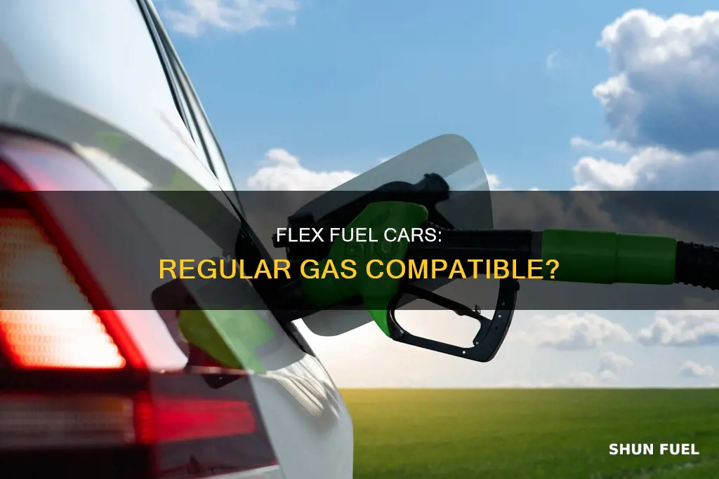 will a flex fuel car run on regular gass