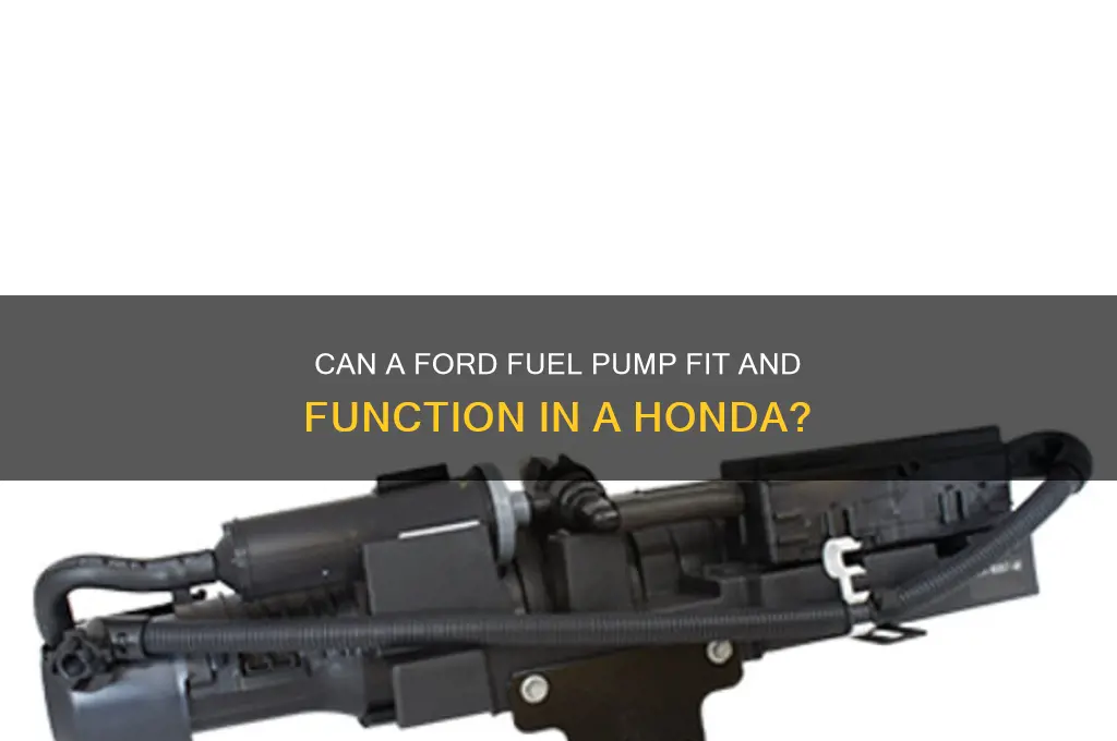 will a ford fuel pump work in a honda