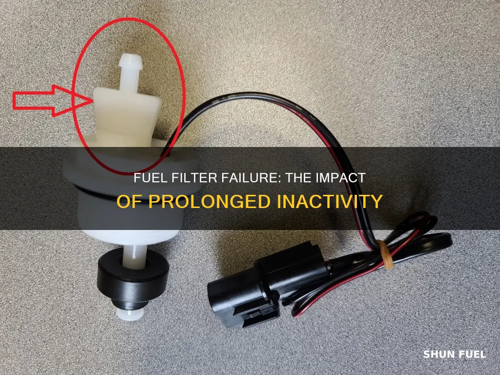 will a fuel filter go bad from sitting