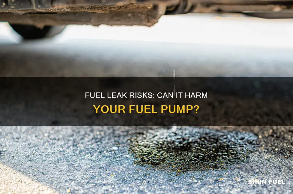 will a fuel leak damage your fuel pump
