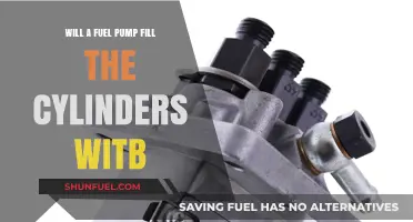 Does a Fuel Pump Deliver Fuel Directly to Engine Cylinders?