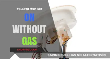 Can a Fuel Pump Operate Without Gas in the Tank?