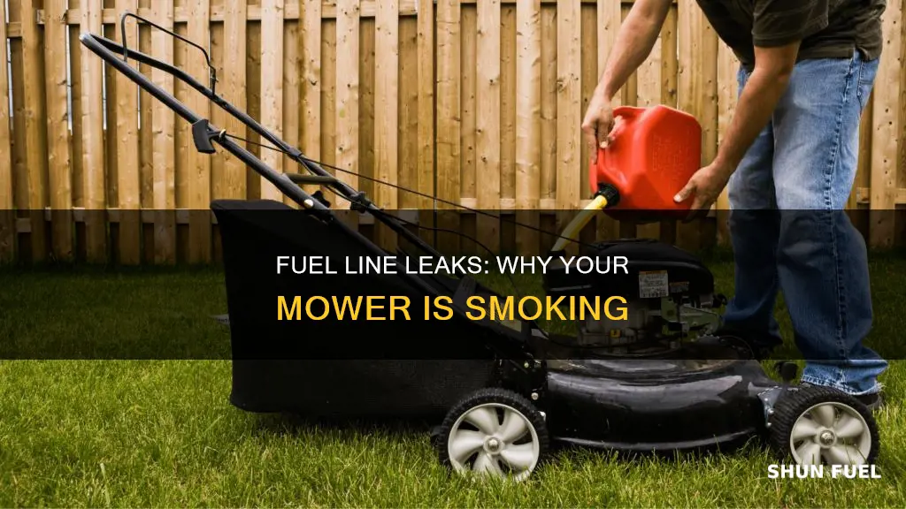 will a leaky fuel line cause smoke mower
